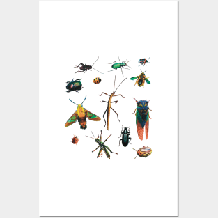 Flock of Bugs Posters and Art